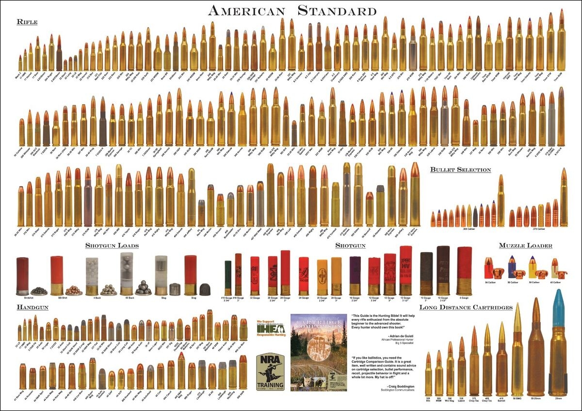 American Standard Bullet Comparison Guide Chart Print Poster EBay