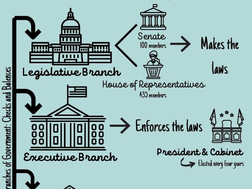 Federal Government Anchor Chart By Be THAT Organized Sped Teacher