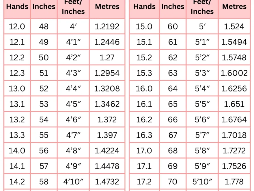 Horse Height Conversion Chart Hands Inches Feet And Meters