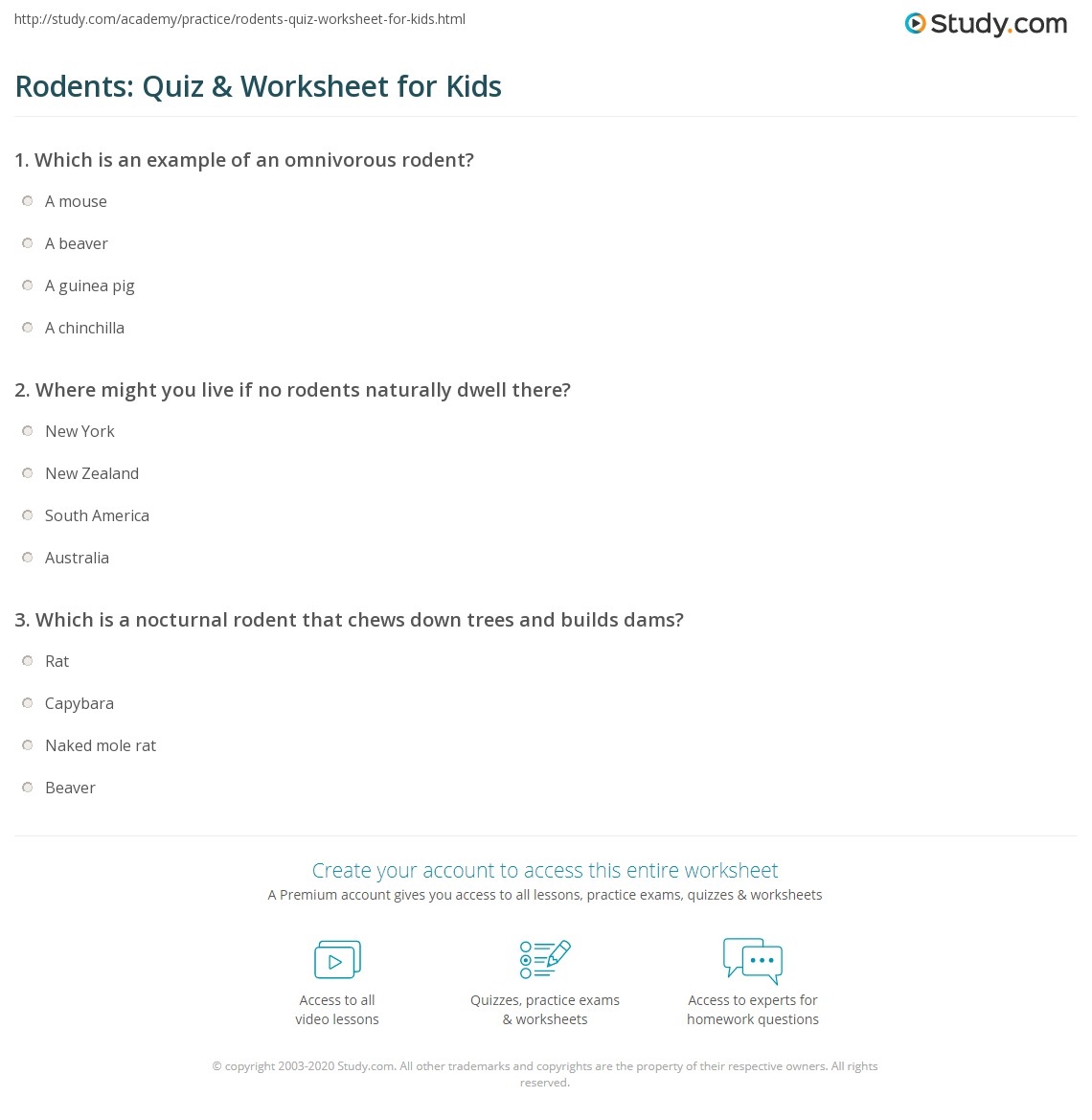 Rodents Quiz Worksheet For Kids Study