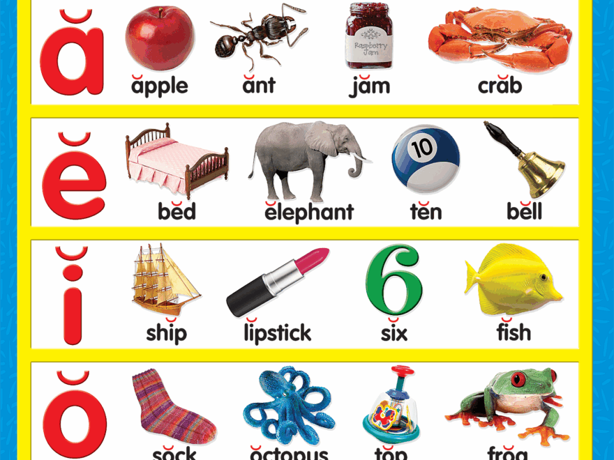 Short Vowels Chart TCR7701 Teacher Created Resources