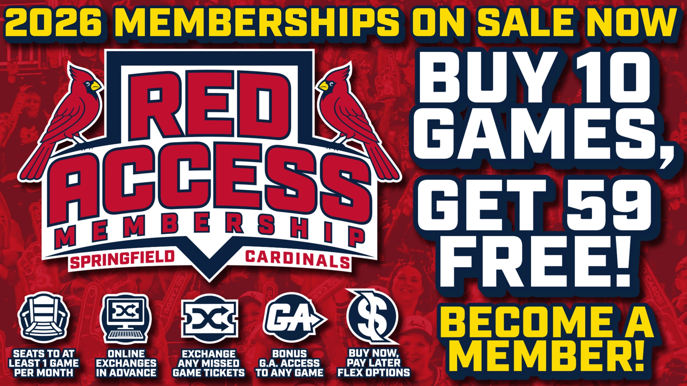 Springfield Cardinals MiLB