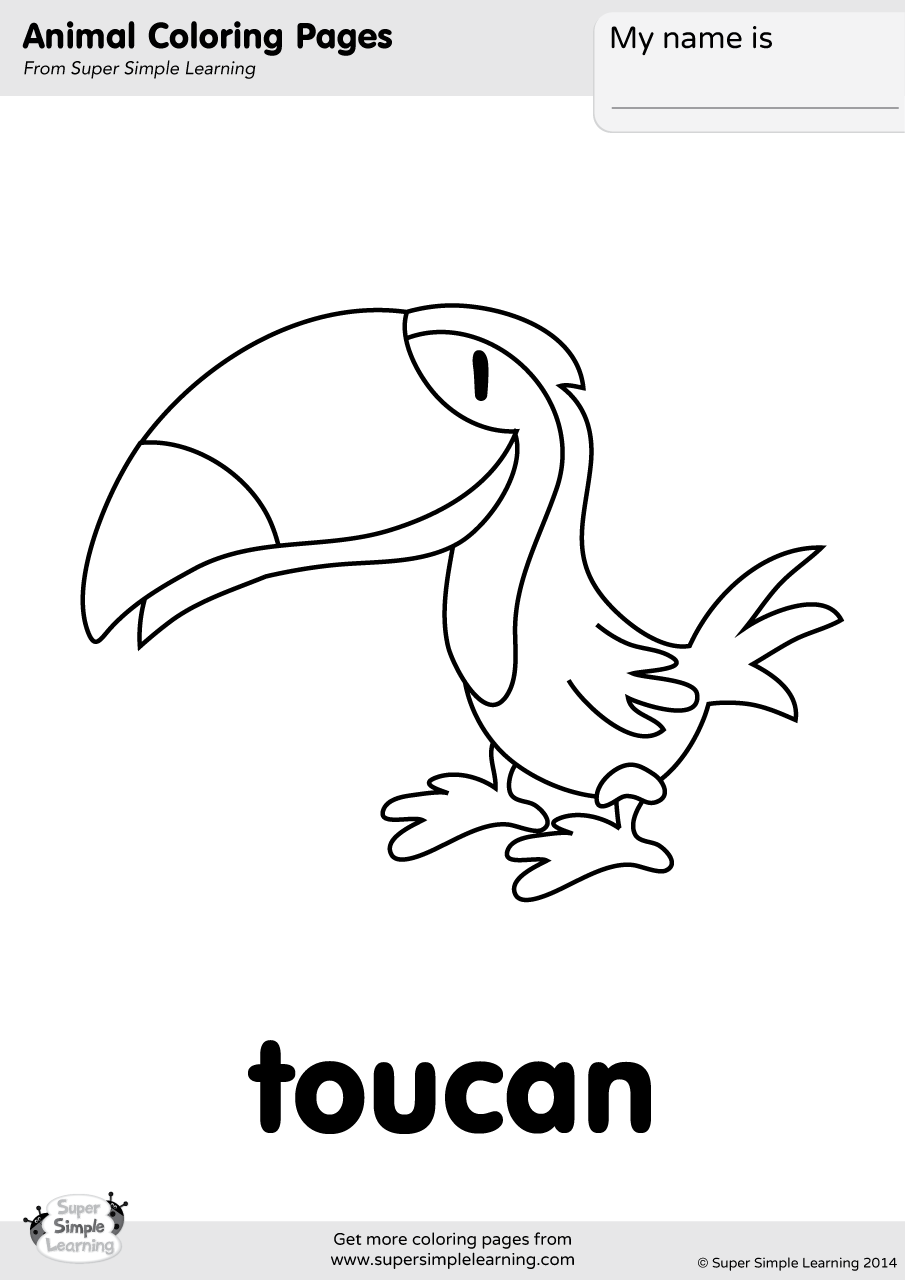 Toucan Coloring Page Super Simple