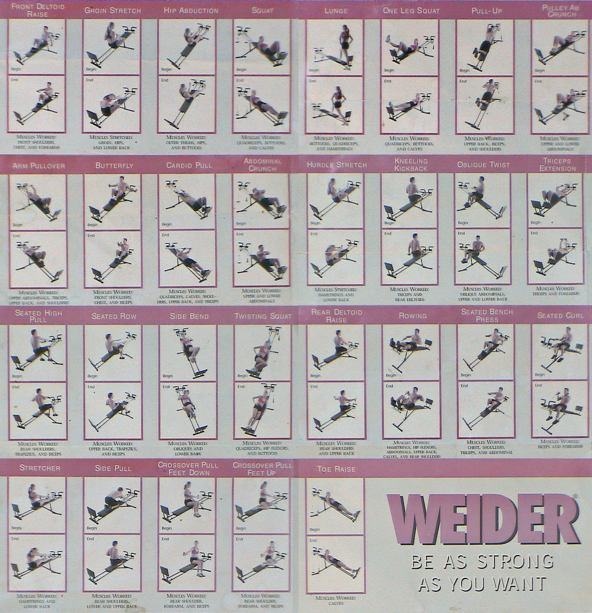 Weider Pro 9635 Workout Chart