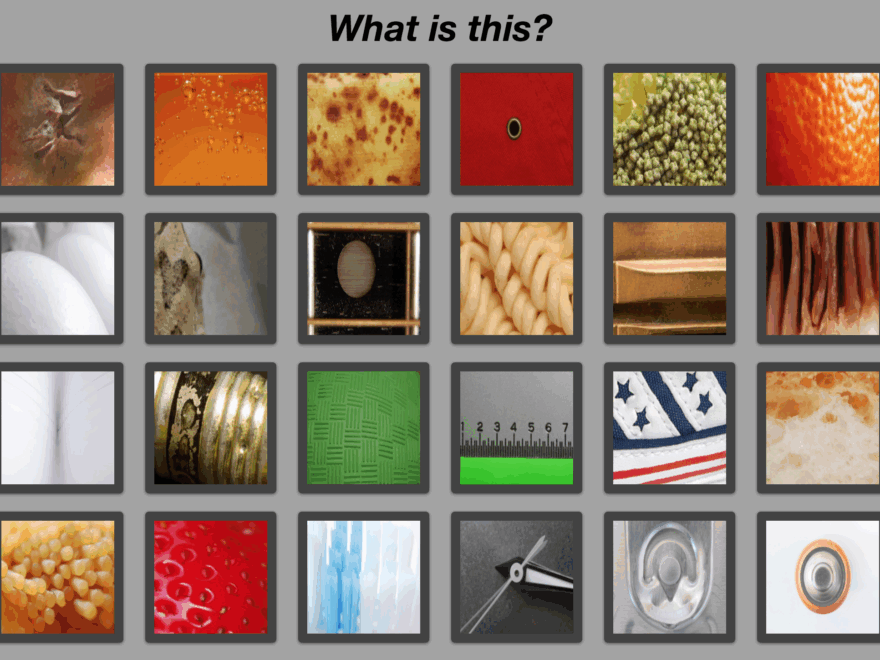 Zoom In Quiz Project Overview